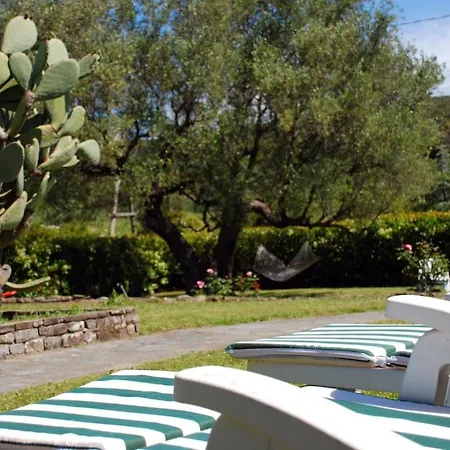 Alberta Great View & Exclusive Location アパート アシェーア