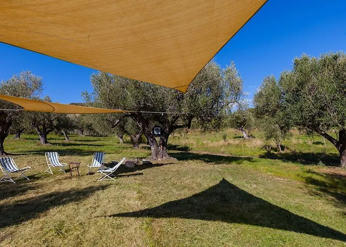 Alberta Great View & Exclusive Location Apartment Ascea